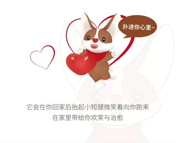 点击查看原始图片