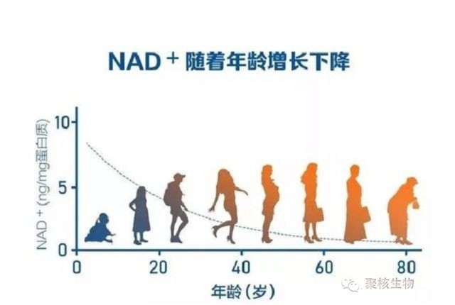 点击查看原始图片