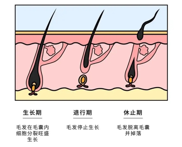 点击查看原始图片