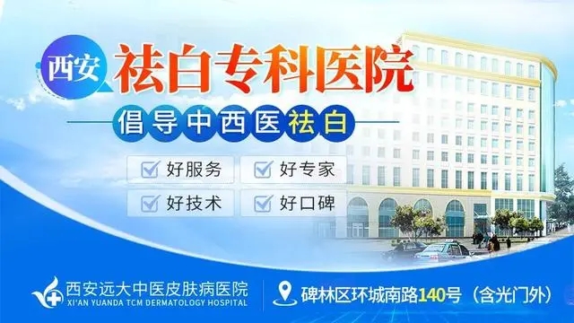 b17eca8065380cd70272725e19e894385882814a.webp.jpg