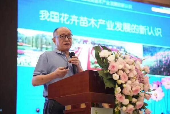 点击查看原始图片