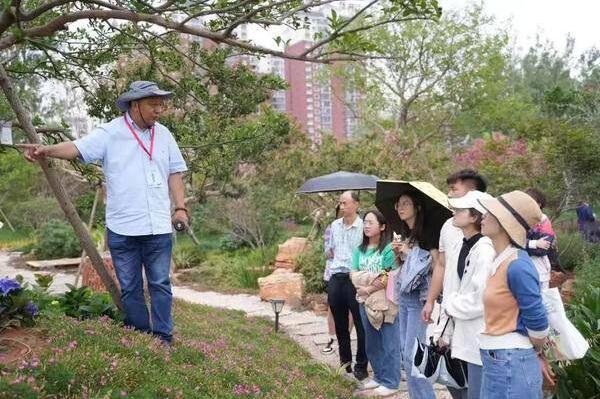 点击查看原始图片