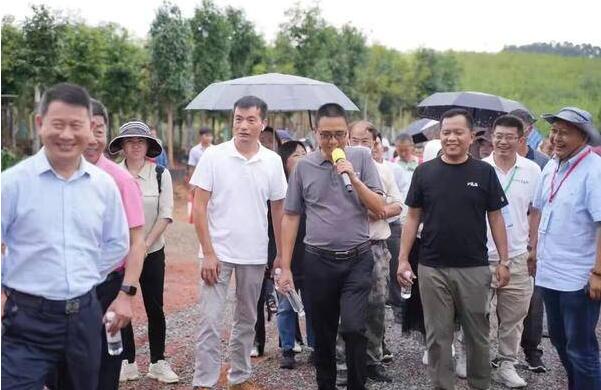 点击查看原始图片