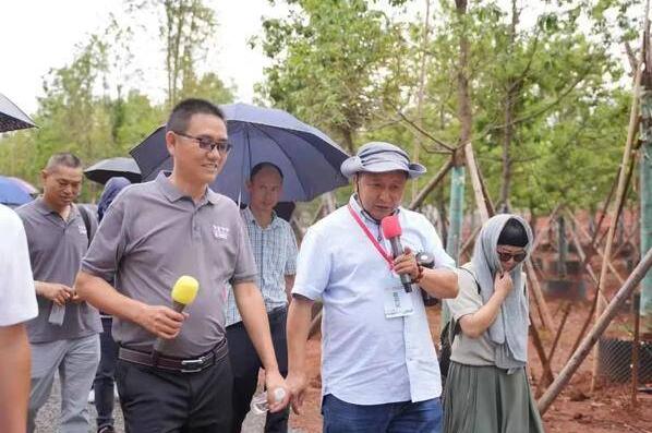 点击查看原始图片