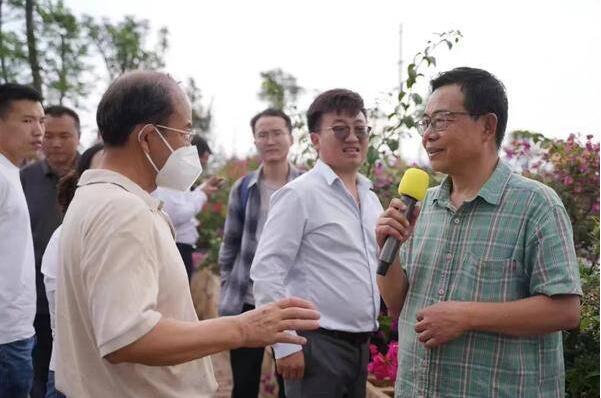 点击查看原始图片