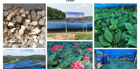 点击查看原始图片