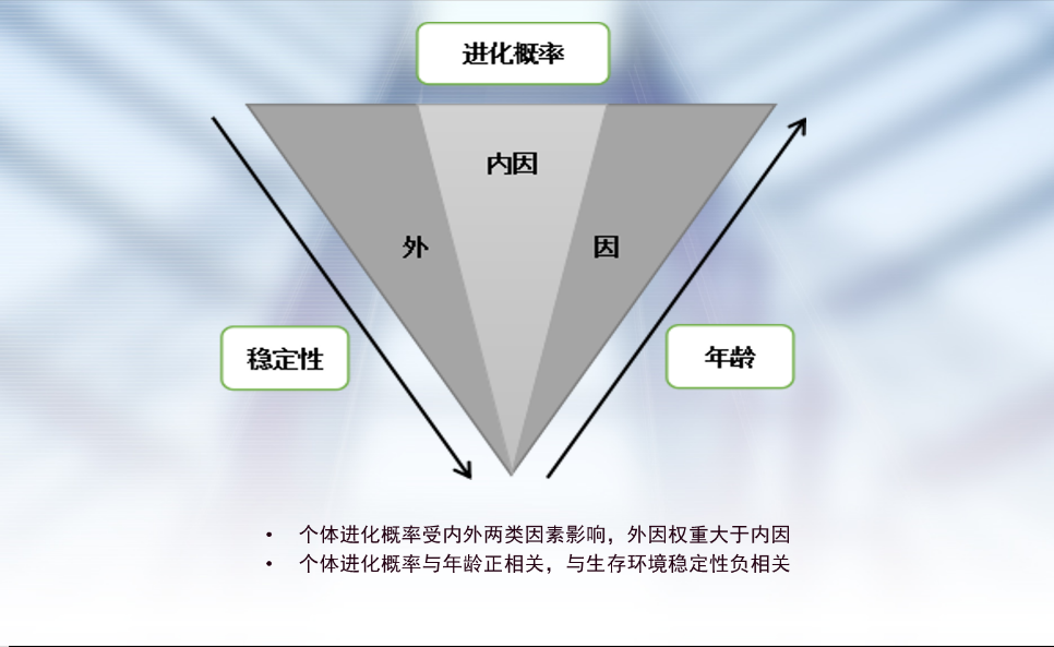 点击查看原始图片