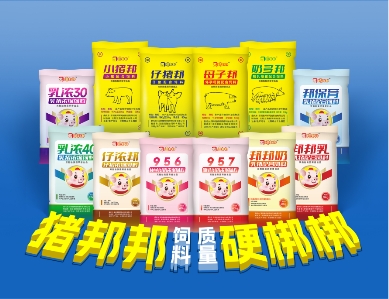 点击查看原始图片