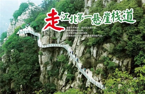 点击查看原始图片