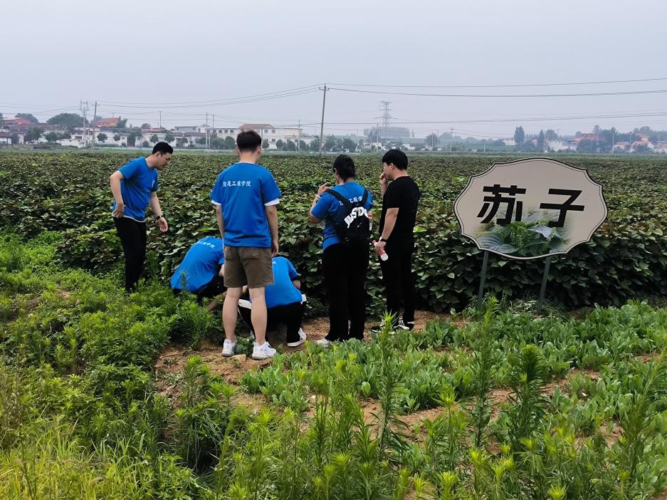 点击查看原始图片