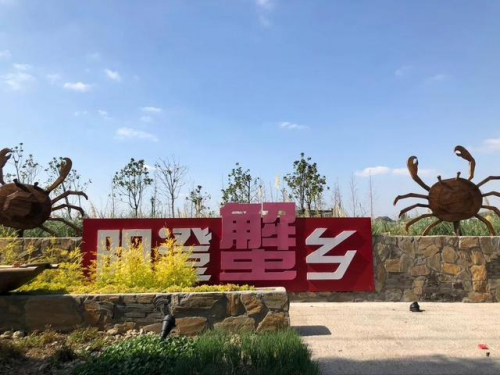 点击查看原始图片