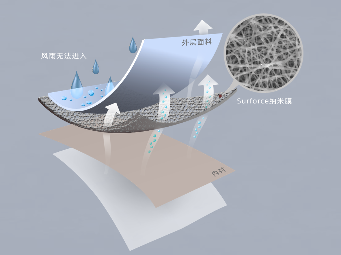 点击查看原始图片
