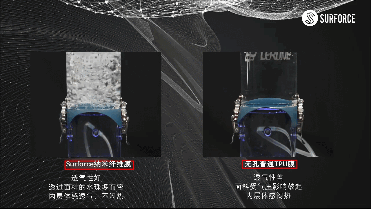 ͼƬ5.gif