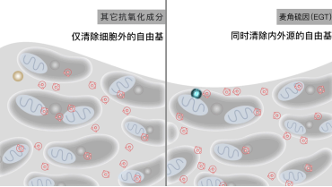 点击查看原始图片