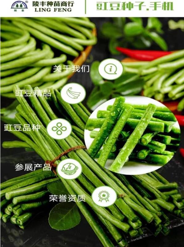 点击查看原始图片