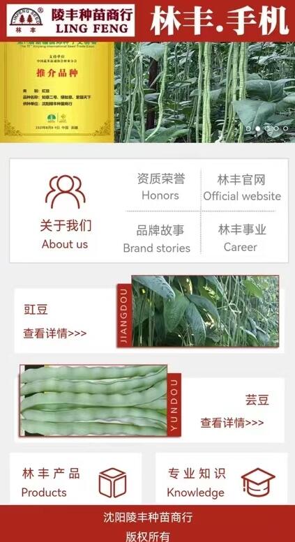 点击查看原始图片