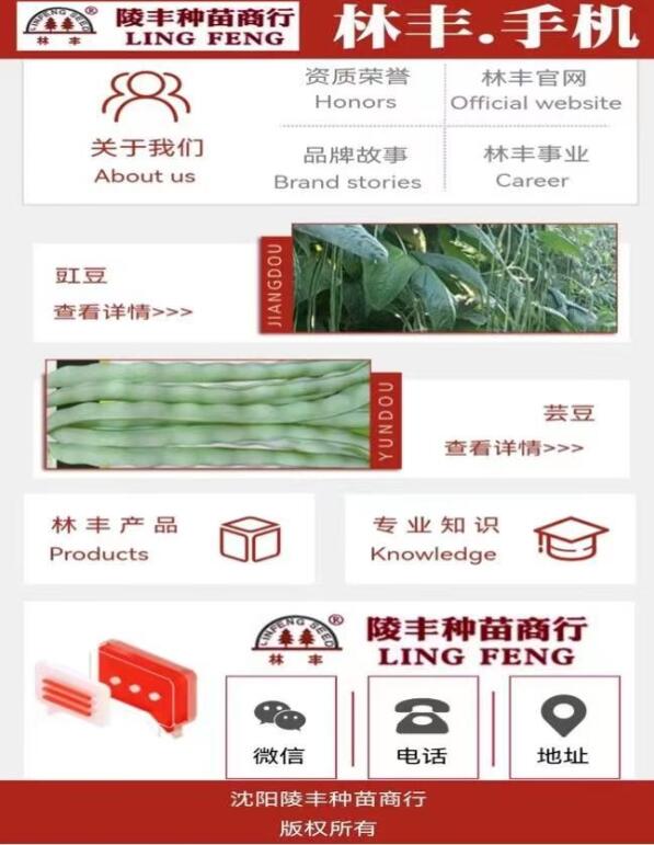 点击查看原始图片
