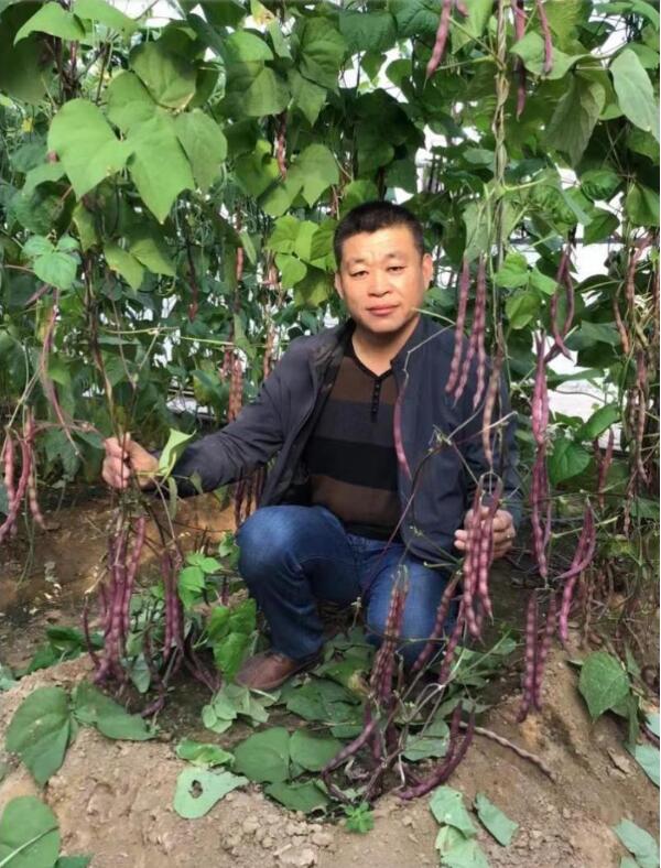 点击查看原始图片