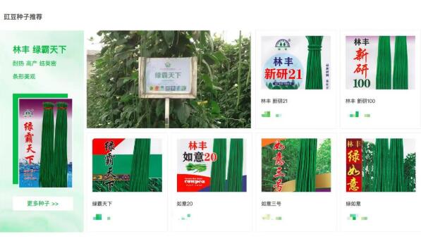 点击查看原始图片