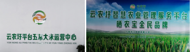 点击查看原始图片