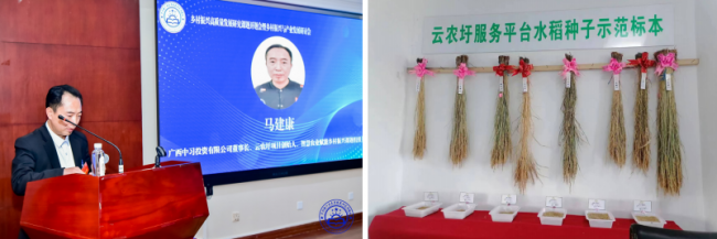 点击查看原始图片