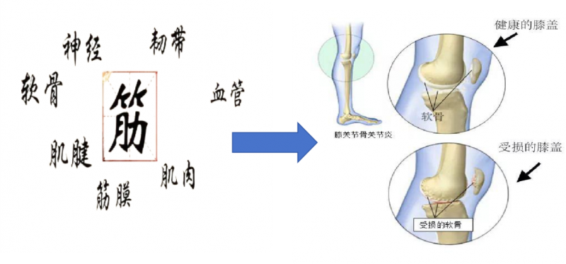 点击查看原始图片