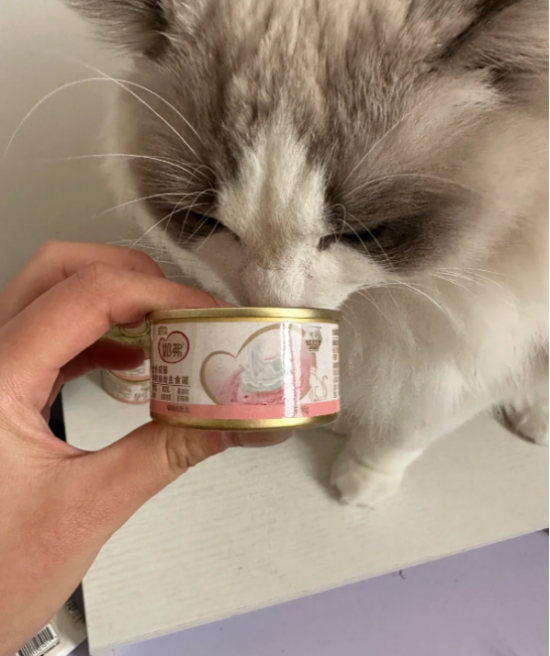 ͼƬ