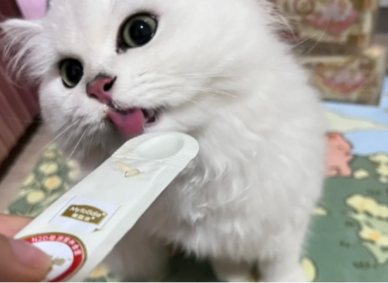 ͼƬ