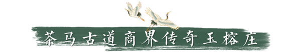 05.png
