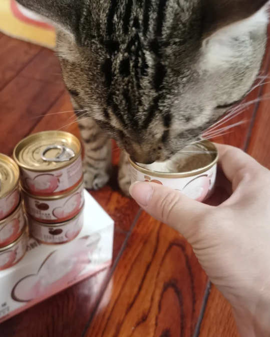 ͼƬ