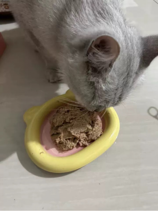 ͼƬ