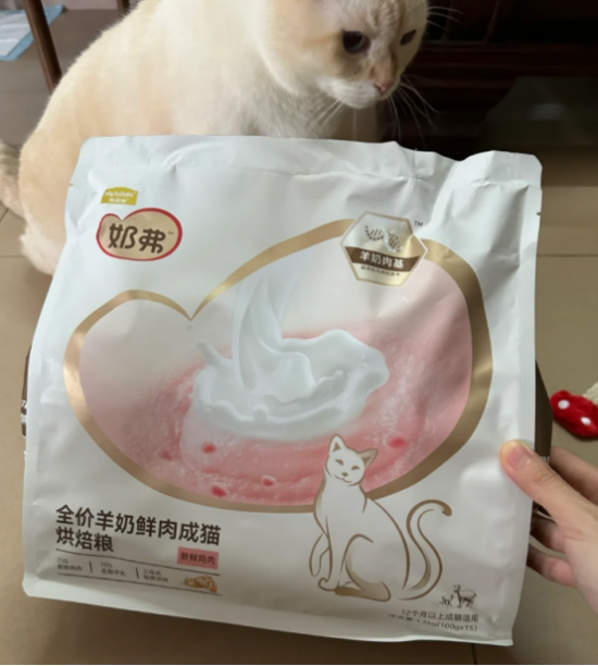 ͼƬ