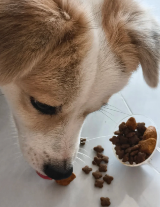 ͼƬ