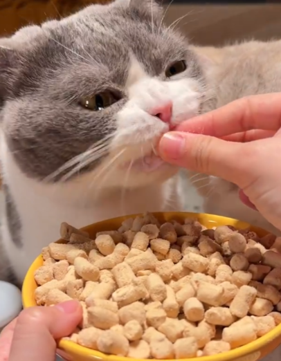 ͼƬ