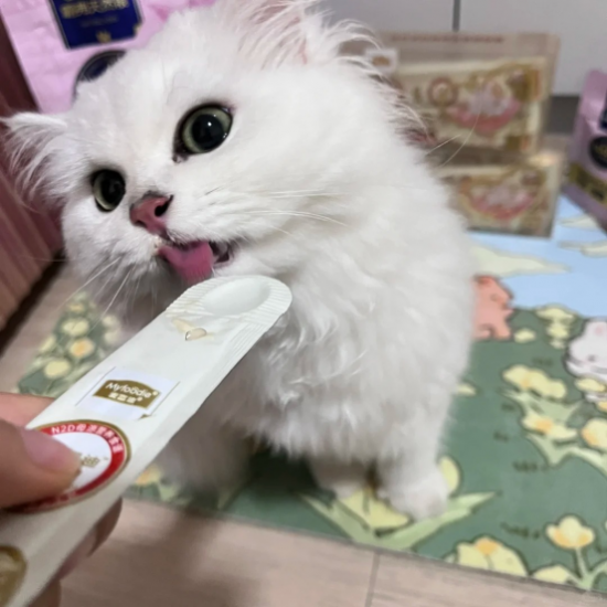 ͼƬ