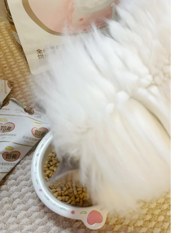 ͼƬ
