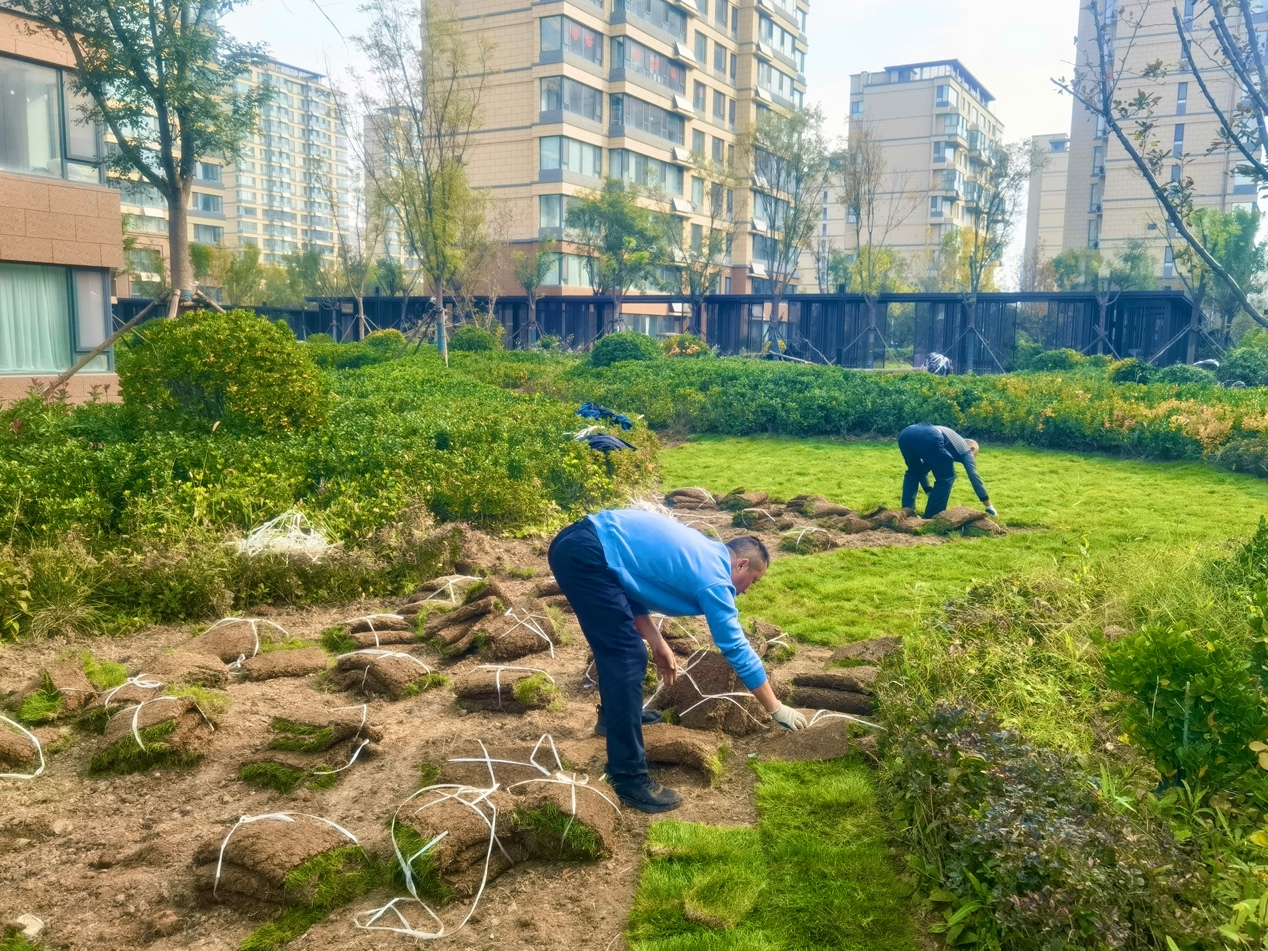 ��ͼƬ�޷���ʾ����ˢ��ҳ��