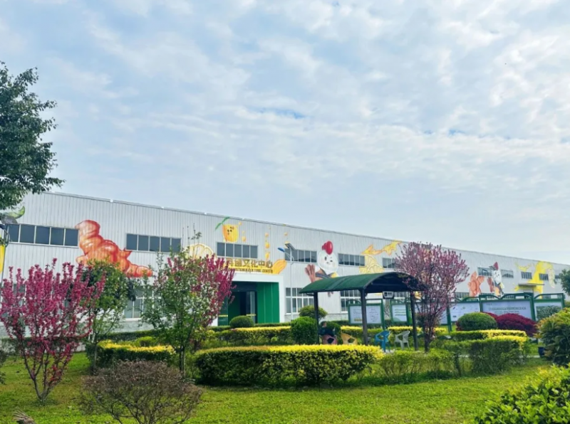 点击查看原始图片