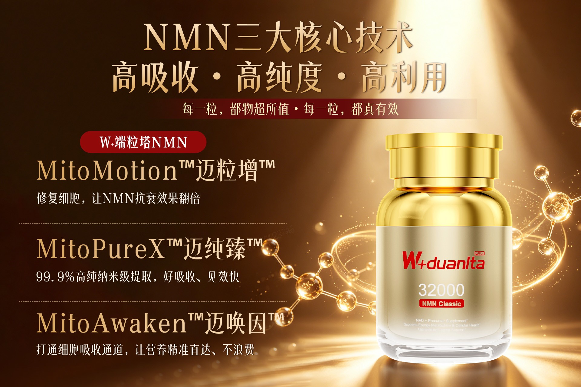 W+duanlta ������ļ���.jpg